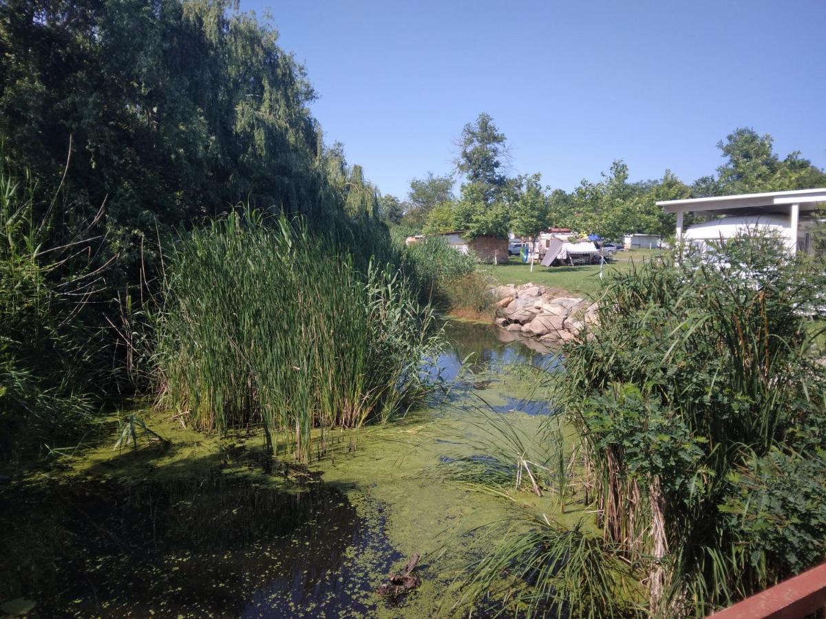 Camping Goldfish Σωζόπολη Εξωτερικό φωτογραφία